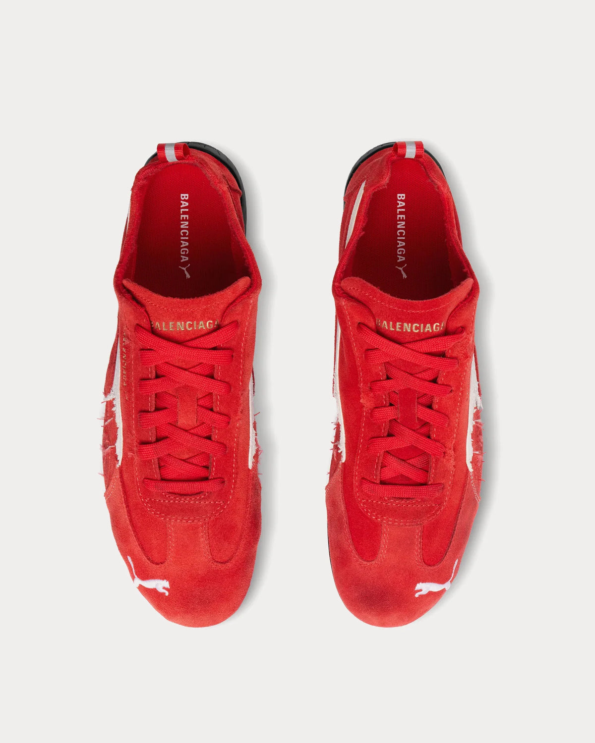 Speedcat Distressed (Red)