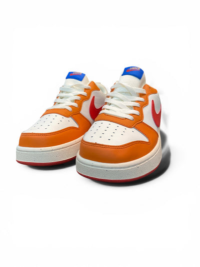 SB Dunks Skate