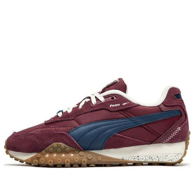 Black-Top Rider