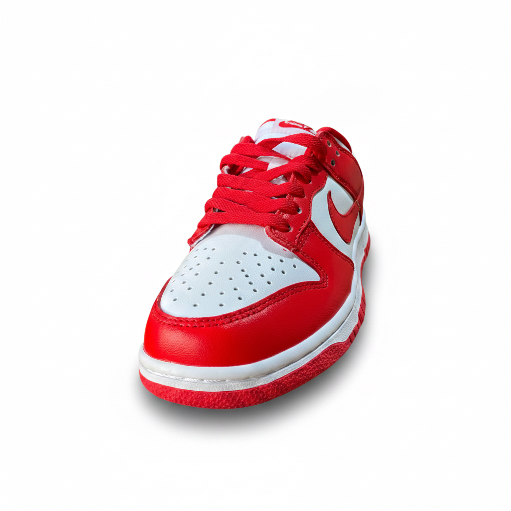SB DUNK (Red)