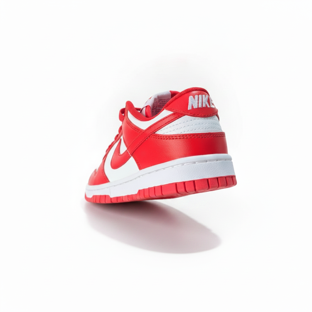 SB DUNK (Red)